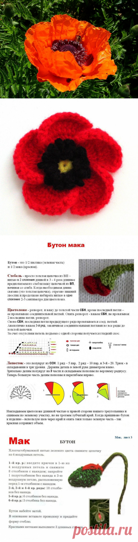 Коллекция - Маки №1 - Lilia Vignan