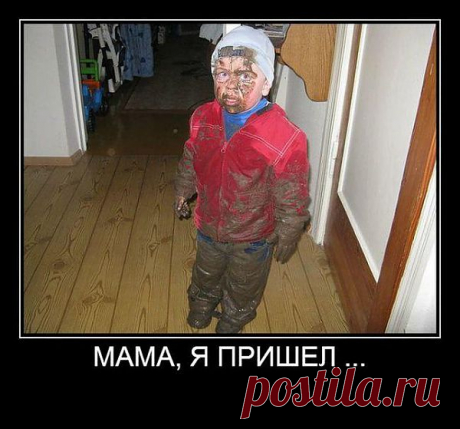 | ПРИКОЛЫ