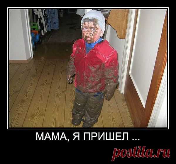 | ПРИКОЛЫ