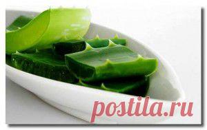 АЛОЭ, МЕД И КАГОР....