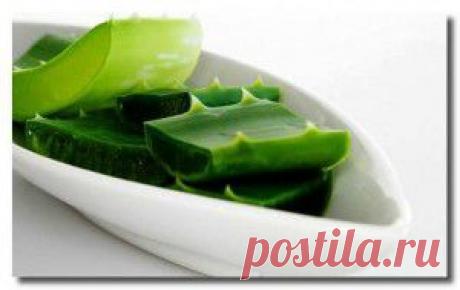 АЛОЭ, МЕД И КАГОР....