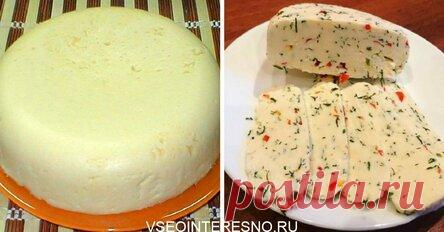 Легендарные сыры домашнего приготовления: 8 простых рецептов