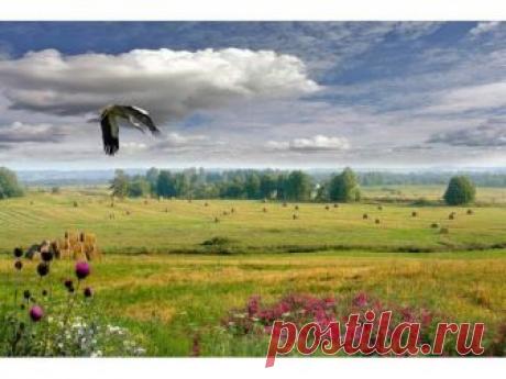 Минск- Белоруссия - страна с интересной историей, богатой событиями и уникальной природой, воспетой не одним поэтом.