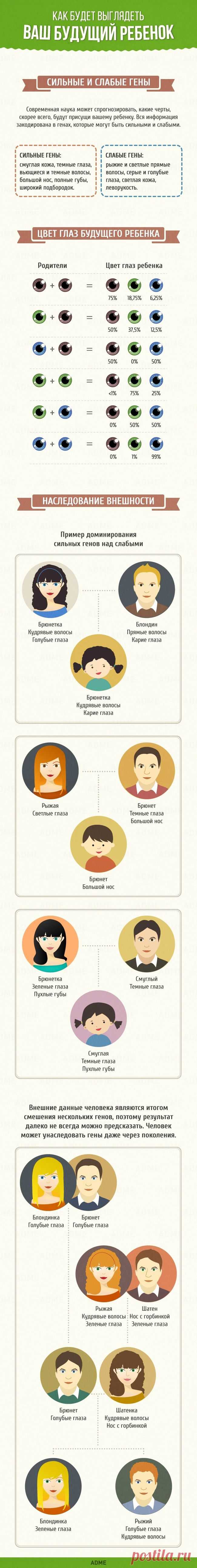 Как будет выглядеть ваш будущий ребенок