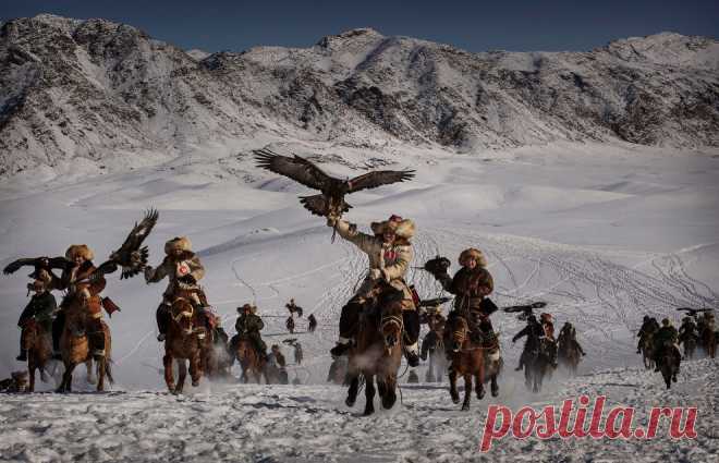 Победители конкурса Sony World Photography Awards 2016 | ФОТО НОВОСТИ