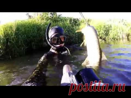 Подводная охота Республика Мордовия р.Сивинь - YouTube