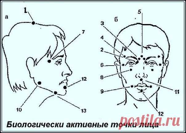 Точечный массаж для здоровья на лице - Академия Романовой Елены