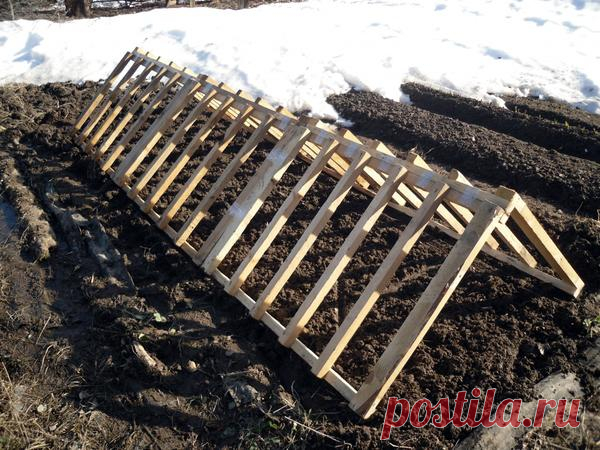 Экспресс-парник из подручных материалов