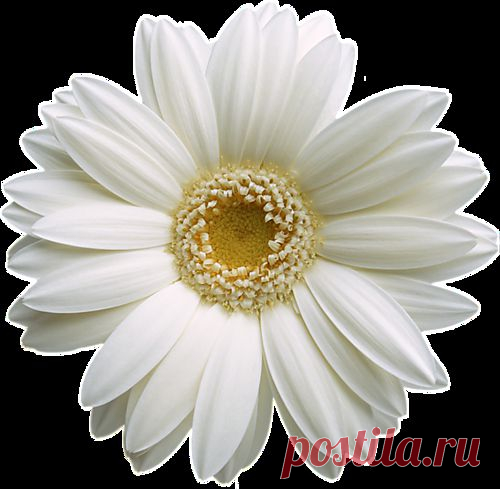 Счастье есть! Его не может не быть