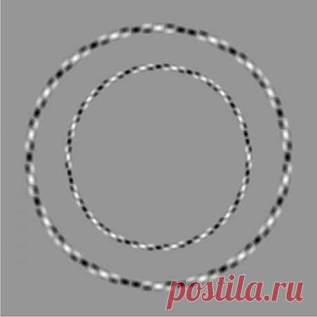 Это круги
Зрительные искажения
ровные... круглые...