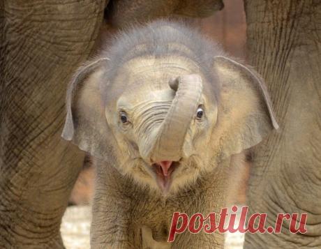 Фото группы | Фотографии Планета Фактов! | 5683 фото | Группы Мой Мир