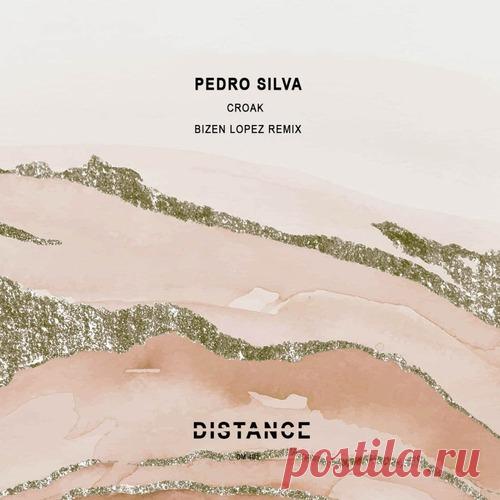 Pedro Silva – Croak [DM401]