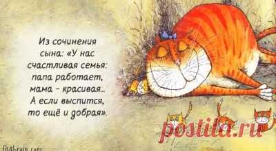 Весёлые картинки – Фитнес для мозга