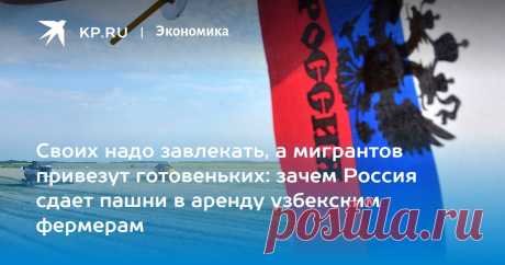 Своих надо завлекать, а мигрантов привезут готовеньких: зачем Россия сдает пашни в аренду узбекским фермерам Эксперт Наталья Шагайда объяснила выгоду России от передачи земли узбекским фермерам
