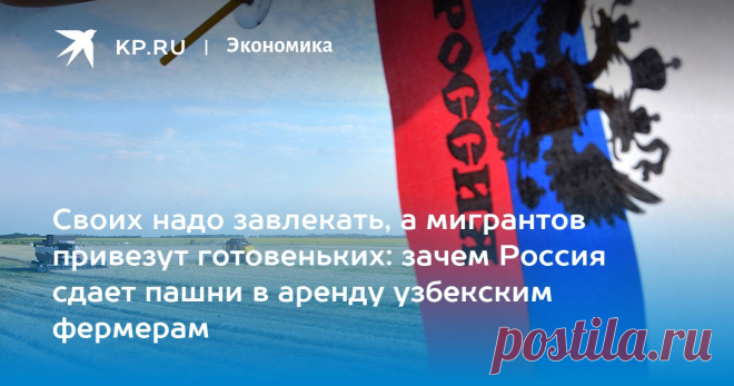 Своих надо завлекать, а мигрантов привезут готовеньких: зачем Россия сдает пашни в аренду узбекским фермерам Эксперт Наталья Шагайда объяснила выгоду России от передачи земли узбекским фермерам