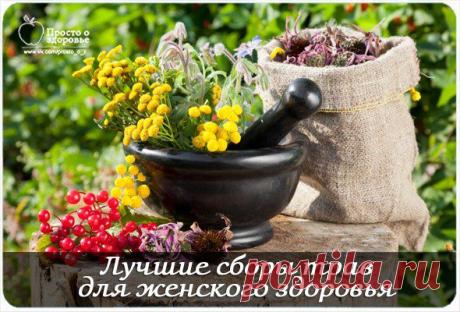 Лучшие сборы трав для женского здоровья | Советы Народной Мудрости