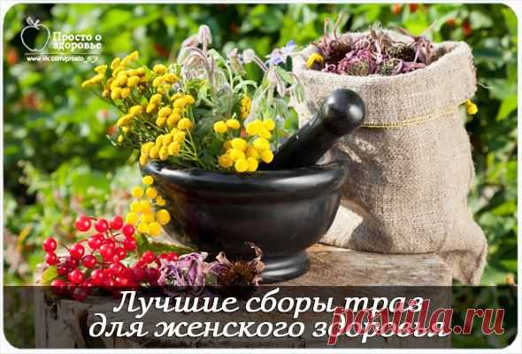 Лучшие сборы трав для женского здоровья | Советы Народной Мудрости
