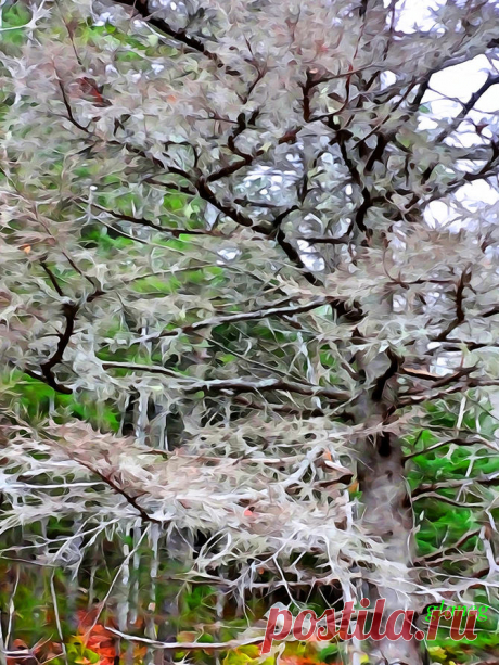 Фото и рисунки, арт и креативная реклама