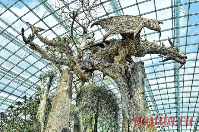 Крылатые драконы из обыкновенных коряг: чудеса работы с деревом