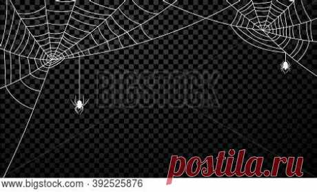 White Spider Web - Search Images