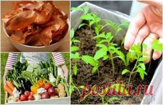 12 советов, которые помогут грамотно организовать грядки и существенно повысить урожайность Дачники уже вовсю потирают руки в ожидании хорошей погоды, чтобы со свежими силами ринуться к своим грядкам. 
Ну а пока тепло еще только на подходе, совсем нелишним будет запастись парой-тройкой полез…