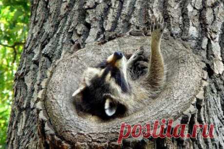 16 жизненных закономерностей