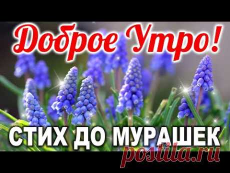 🌹ДО СЛЁЗ КАК ТРОГАТЕЛЬНО!🌹 ДОБРОЕ УТРО! С Добрым Утром! Музыкальная открытка | СТИХ О МАМЕ