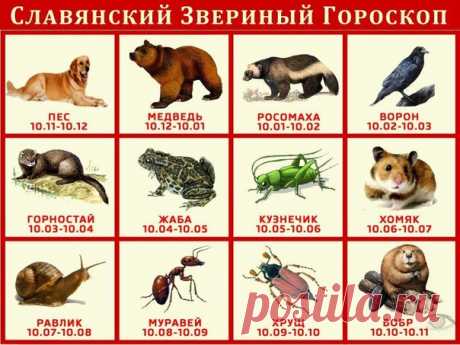 Славянский звериный гороскоп.