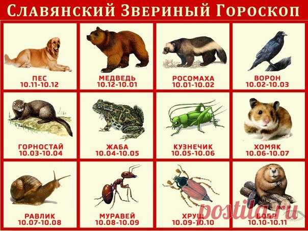 Славянский звериный гороскоп.