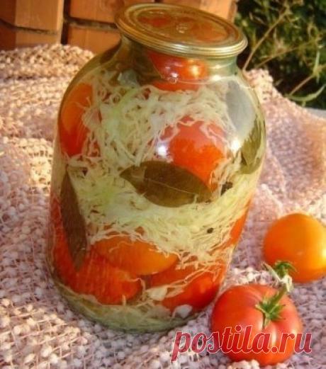 ПОМИДОРЫ С КАПУСТОЙ. ПОПРОБУЙТЕ, ВАМ ПОНРАВИТСЯ!
Нашинковать капусту, натереть морковь, нарезать мелко болг. перец, измельчить чеснок. Все смешать. В стерилизованные банки 3-х литровые. На дно, лавр. лист, перец душ. гор., 2 зонтика укропа. Укладываем помидоры, пересыпая каждый слой нашинкованными овощами. Сверху залить кипящим рассолом. Стерилизовать 15 минут. Закатать. Укутать.
Рассол:
На 1 литр воды,
2 ст. лож соли,
3 ст. лож сахара,
1 ч. ложка 9% уксуса
Чтобы не потерять рецепт, жмите "К