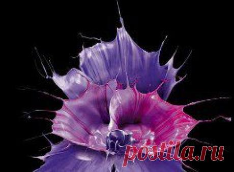 Искусство "разливной" фотографии, когда капля краски падает, отскакивает и разбивается, создавая невероятной красоты "жидкий цветок".