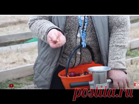 ПОСАДКА ЛУКА НОВЫМ СПОСОБОМ! Я ОТ НЕГО В ВОСТОРГЕ!