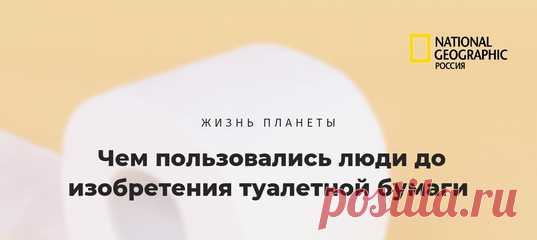 Чем только не пользовались жители древних времен после посещения уборной до того, как изобрели спасительную туалетную бумагу. Но есть и совсем эффектные варианты (хотя вряд ли эффективные) 💩