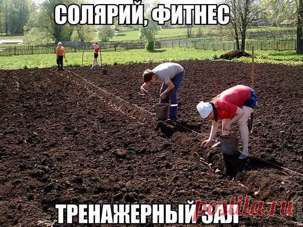 Мой Мир@Mail.Ru