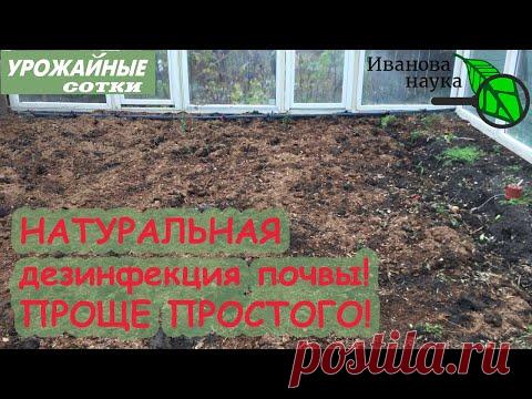 ПРИРОДНОЕ ОБЕЗЗАРАЖИВАНИЕ ПОЧВЫ. Самый простой способ уничтожить инфекцию в почве, доступный всем!