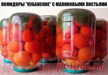 ПОМИДОРЫ "КУБАНСКИЕ" С МАЛИНОВЫМИ ЛИСТЬЯМИ
(ПО СТАРИННОМУ РЕЦЕПТУ)

Помидоры получаются очень вкусными и хорошо держат свою форму!
Малиновые листья придают особенный вкус и, кроме того, содержащаяся в них ацетилсалициловая кислота не допускает брожения.

ИНГРЕДИЕНТЫ:
На одну 3-х литровую банку:
помидоры (небольшие) около 2 кг;
3 пятипалых малиновых листочка;
5-8 зубчиков чеснока;
2 столовых ложки соли;
5 столовых ложек сахара;
1 столовая ложка 9% уксуса.

РЕЦЕПТ ПРИГОТОВЛЕ...