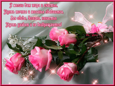 видео открытки на все случаи жизни: 24 тыс изображений найдено в Яндекс.Картинках