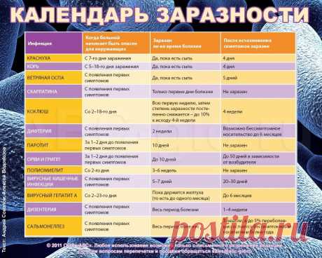 Календарь заразности. (это НАДО знать!) - Советы от доктора - Женский Мир