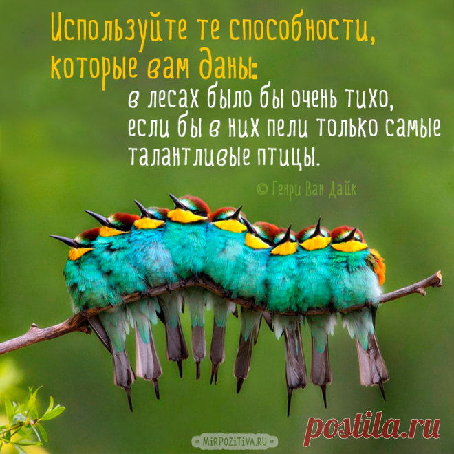 5 Мудростей дня