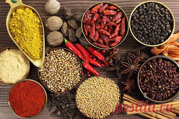 Специи и пряные травы. Как сочетать