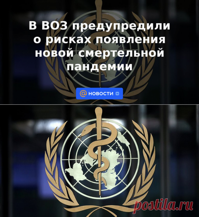В ВОЗ предупредили о рисках появления новой смертельной пандемии | 24 мая 2023 - Новости Mail.ru
