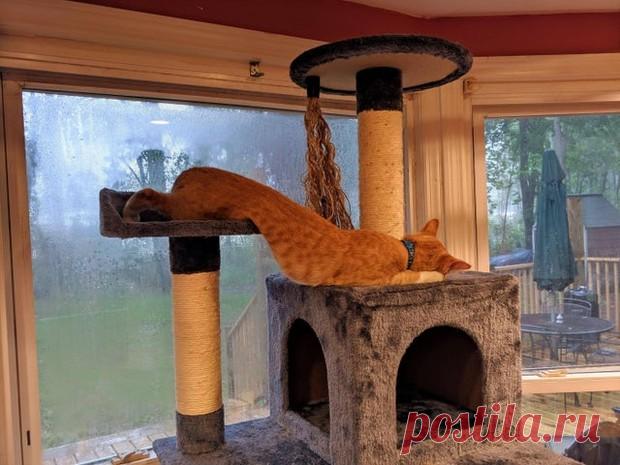 Будто они мчались куда-то по своим делам и уснули на полпути