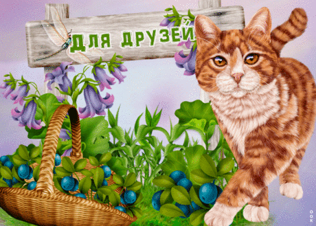 Прикольная открытка моим виртуальным друзьям