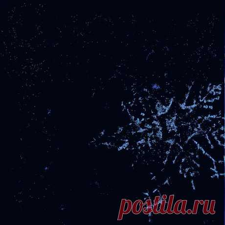 Все гуляют в Новый год:
Друг, сосед, соседский кот.
На столе стоит икра,
Значит всем принять пора.

Я желаю, чтобы Вам,
Стол любой был по зубам,
Чтоб не стал кроватью он,
Ведь не нужен нынче сон.

Чтобы в будущее году
Все нашли свою звезду.
Чтобы Вам кредит простили,
А зарплату не забыли.

Вот уже куранты бьют,
В небе праздничный салют,
И бокал свой в этот час
Поднимаем мы за Вас!