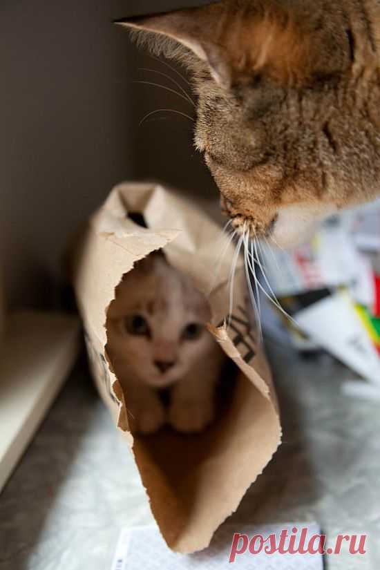 ❤