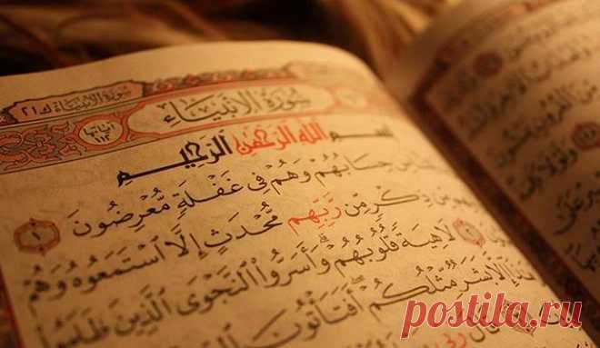 Коран предсказал появление и падение ИГИЛ Муфтий Республики Татарстан Камиль Искандерович Самигуллин сообщает, что пророк Мухаммед, оказывается, давно предсказал появление Исламского государства – международной террористической организации и …