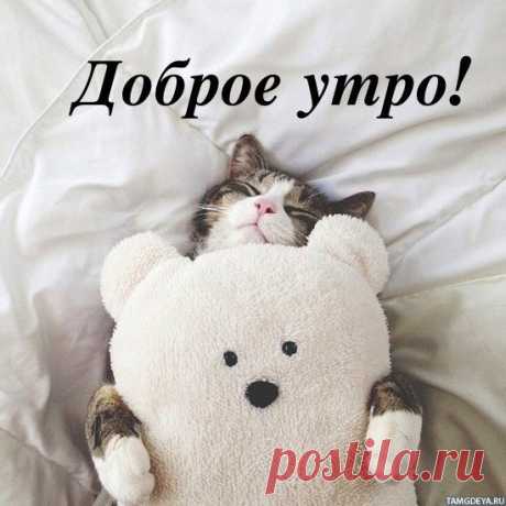 Доброго всем утра вторника