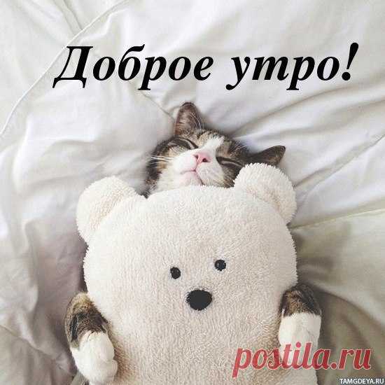 Доброго всем утра вторника