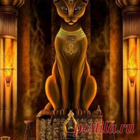 МЕТАконтакты с Представителями Внеземной Цивилизации. Под руководством генерала А.Ю.Савина · ♥ · Галактический Союз Сил Света