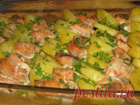 Как вкусно приготовить горбушу — 11 рецептов
